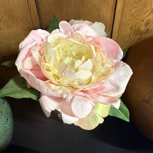 Peony bamboo bouquet plant LAST CHANCE